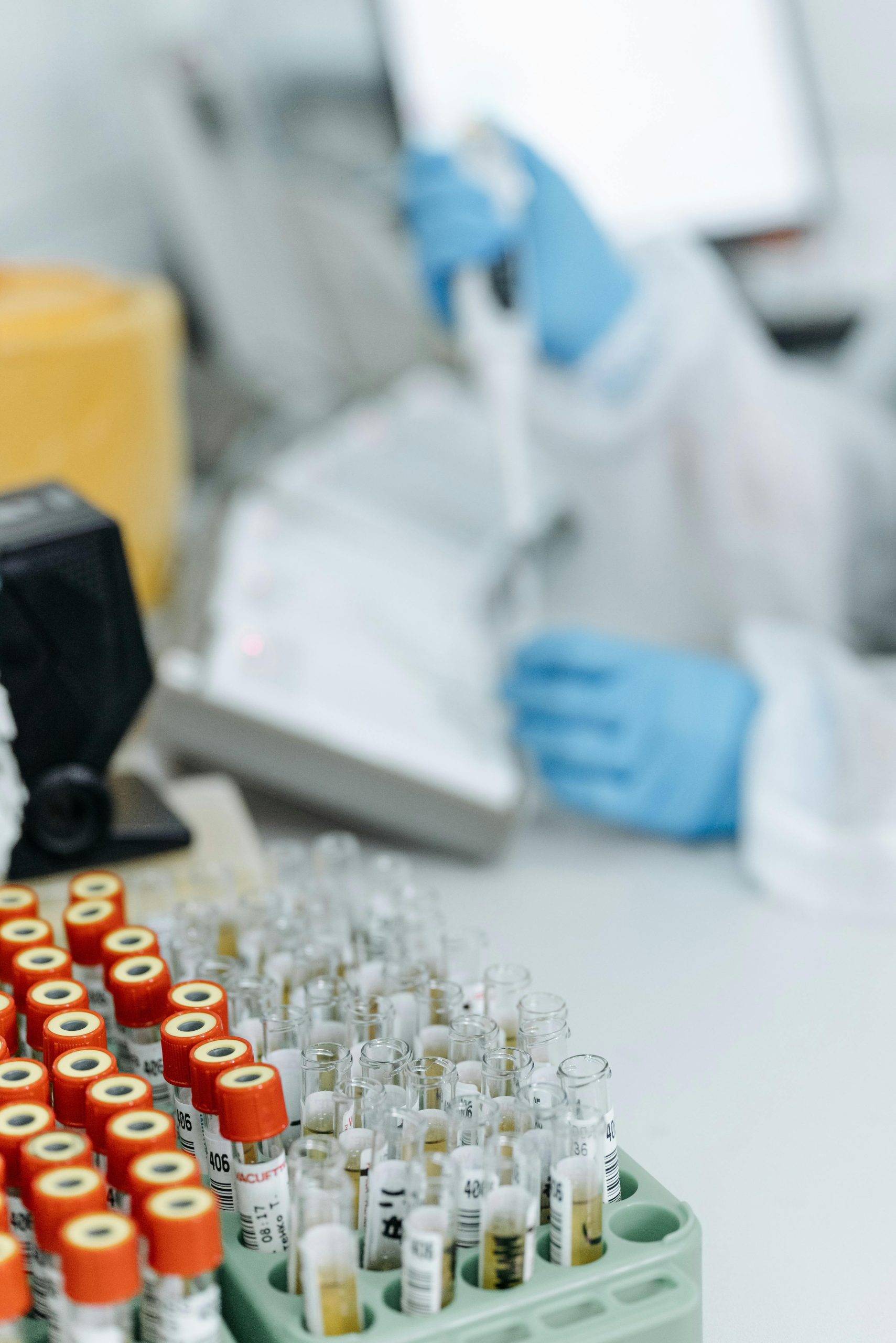 dna test dna testing maternity test maternity testing san jose bay area
